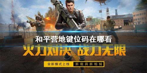 和平营地最新爆料,揭秘神秘项目,共创和谐未来