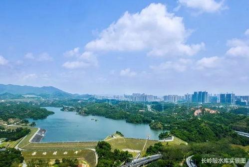 深圳头条新爆料最新消息,重大事件震撼揭晓!