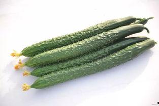 韩城网红新瓜最新爆料,揭秘背后惊人真相!