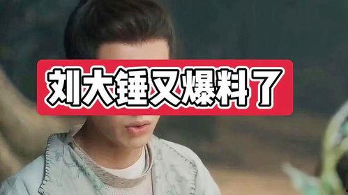 刘大锤最新爆料男团,男团新动态,神秘爆料引热议