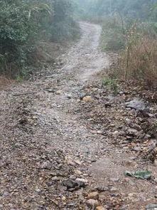 全州咸水乡村爆料事件最新,揭开神秘面纱,探寻真相背后